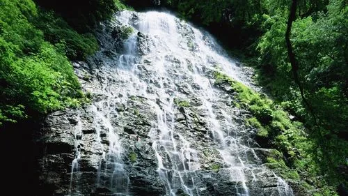 高质量高效独特